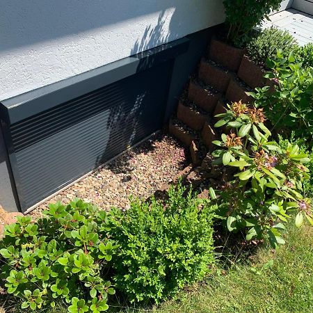 Appartement "Buddha" Langelsheim Exterior photo